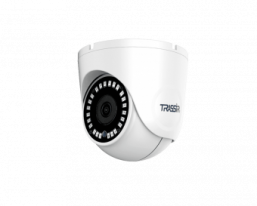 TR-D8151IR2 2.8 - IP-видеокамера