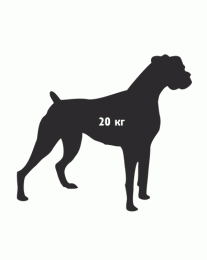 a5121_pet_immune