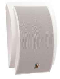 SWS-10 (Roxton) настенный громкоговоритель