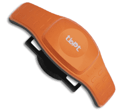X-Pet 1 GPS-ошейник для собак и кошек, весом  35 г