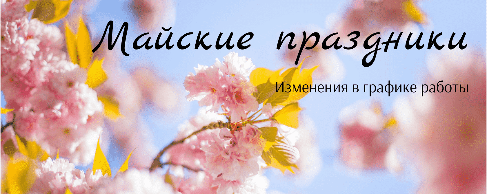 График работы на майские праздники