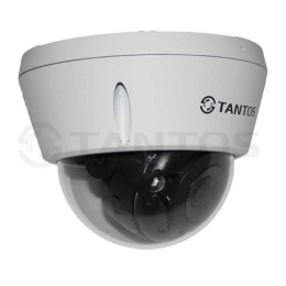 TSi-Veco25FP Уличная 2-х мегапиксельная купольная антивандальная IP видеокамера