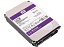 Жесткий диск WD Purple WD102PURZ, 10Тб, HDD